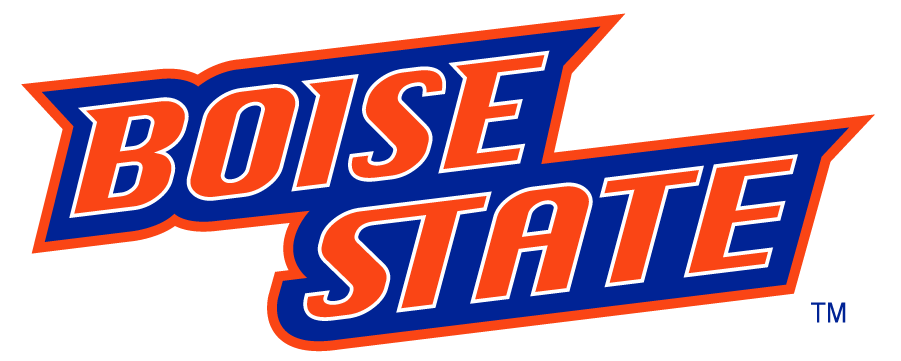 Boise State Broncos 2002-2012 Wordmark Logo diy iron on heat transfer
